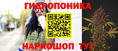 ешки Михайловск