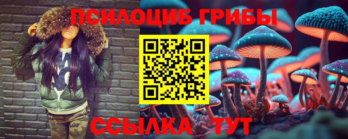 Галлюциногенные грибы ЛСД Луга