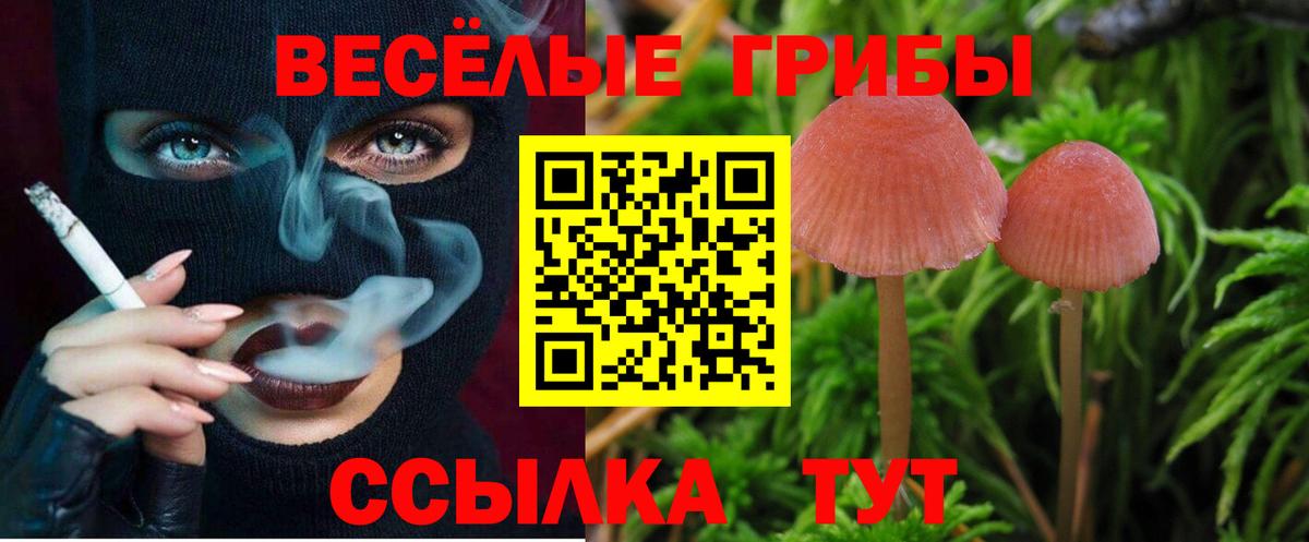 Галлюциногенные грибы мицелий  Вход с VPN  где продают наркотики  Луга 
