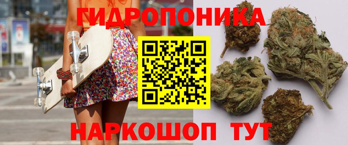 Шишки марихуана VHQ Луга